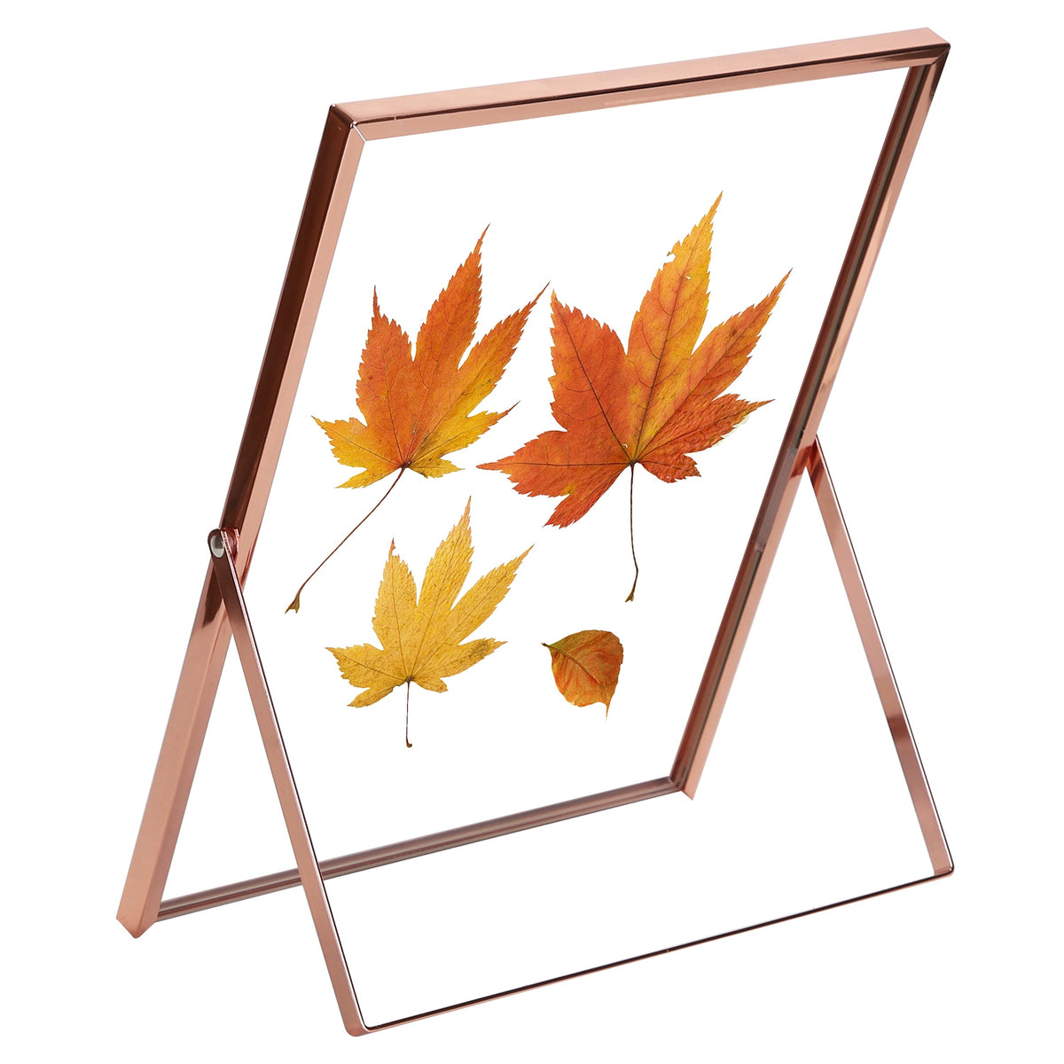 Rose Gold Metal Picture Frame Set 5x7 & 8x10 Vertical