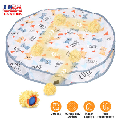 Interactive Motion Activated Cat Toy Ball with Rechargeable Battery