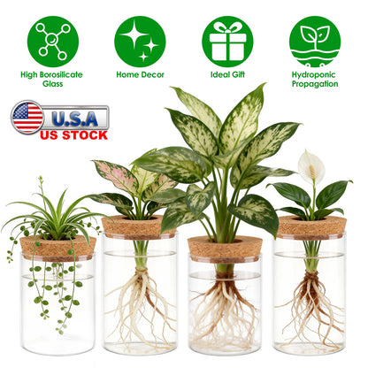 Glass Propagation Stations 4-Pack with Wood Cork Lids