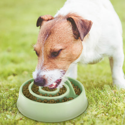 Slow Feeder Dog Bowl with Maze Design for Small & Medium Dogs