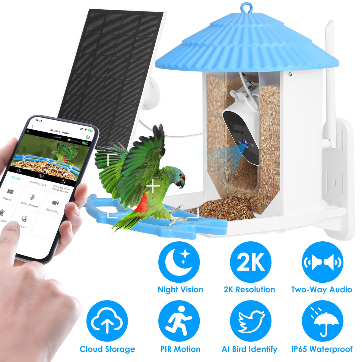 Solar Powered Smart Bird Feeder with 2K Camera & AI Identification