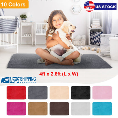 Shaggy Area Rug 4' x 2.6' Anti-Slip Soft Polyester Floor Mat