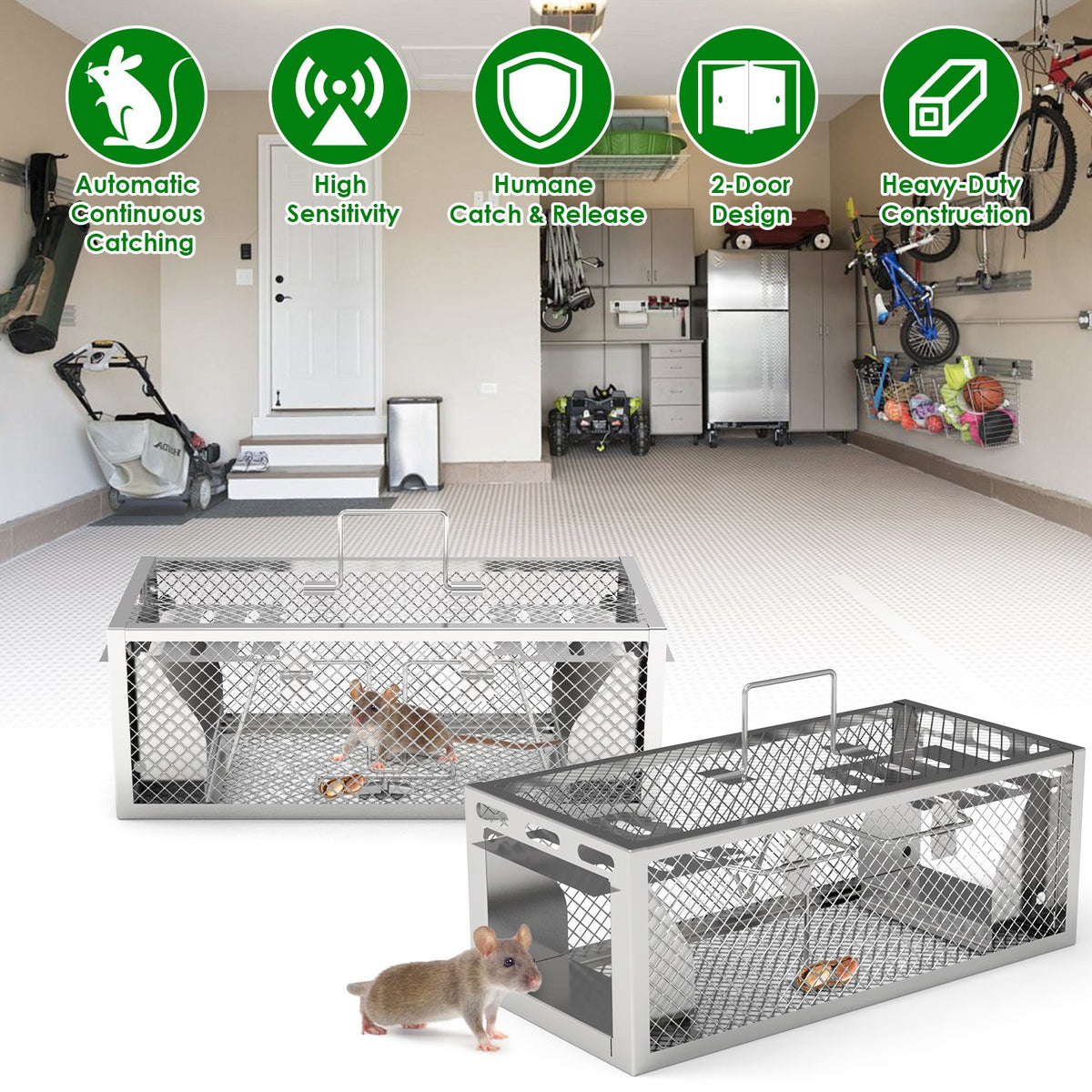 2-Pack Humane Rat Trap with Dual-Door Continuous Catch