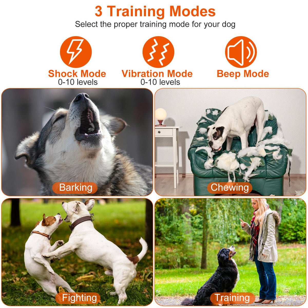 Dog Training Collar with Remote – Waterproof Rechargeable