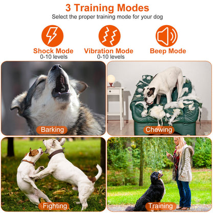 Dog Training Collar with Remote – Waterproof Rechargeable
