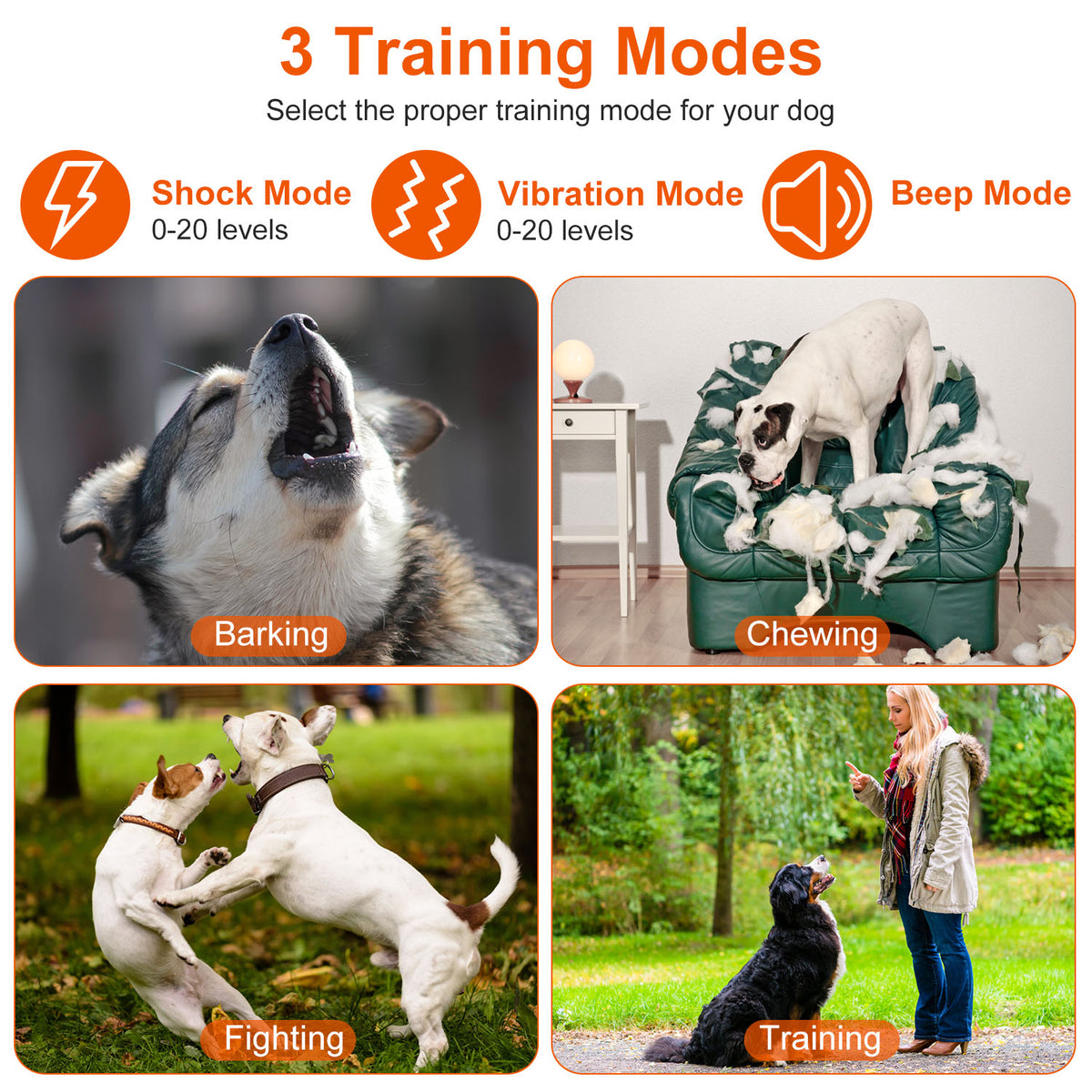 IP67 Waterproof Electric Dog Training Collar Rechargeable Dog Receiver with Light Beep Vibration Shock Fit for All Dogs 