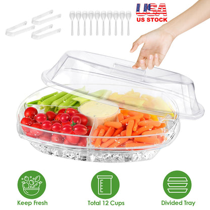 Chilled Serving Tray with Lid and 4 Compartments