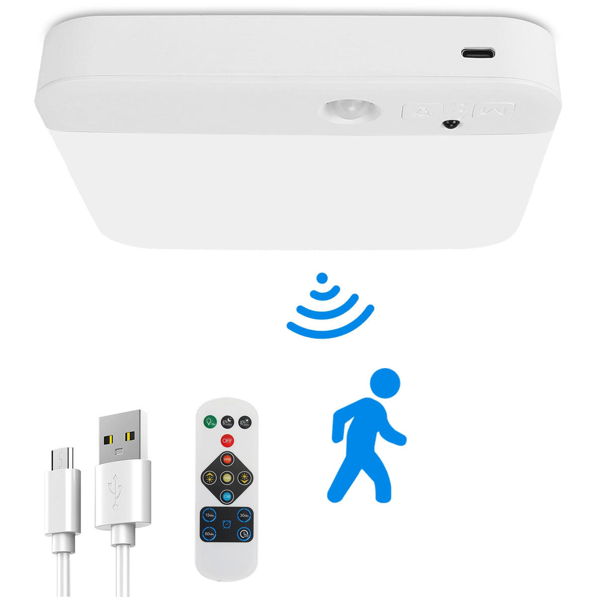 Motion Sensor Ceiling Light with Remote & Rechargeable Battery