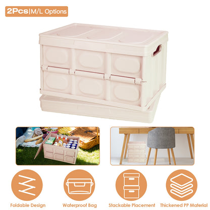 Collapsible Storage Bins with Lids - 2 Pack Stackable Organizer
