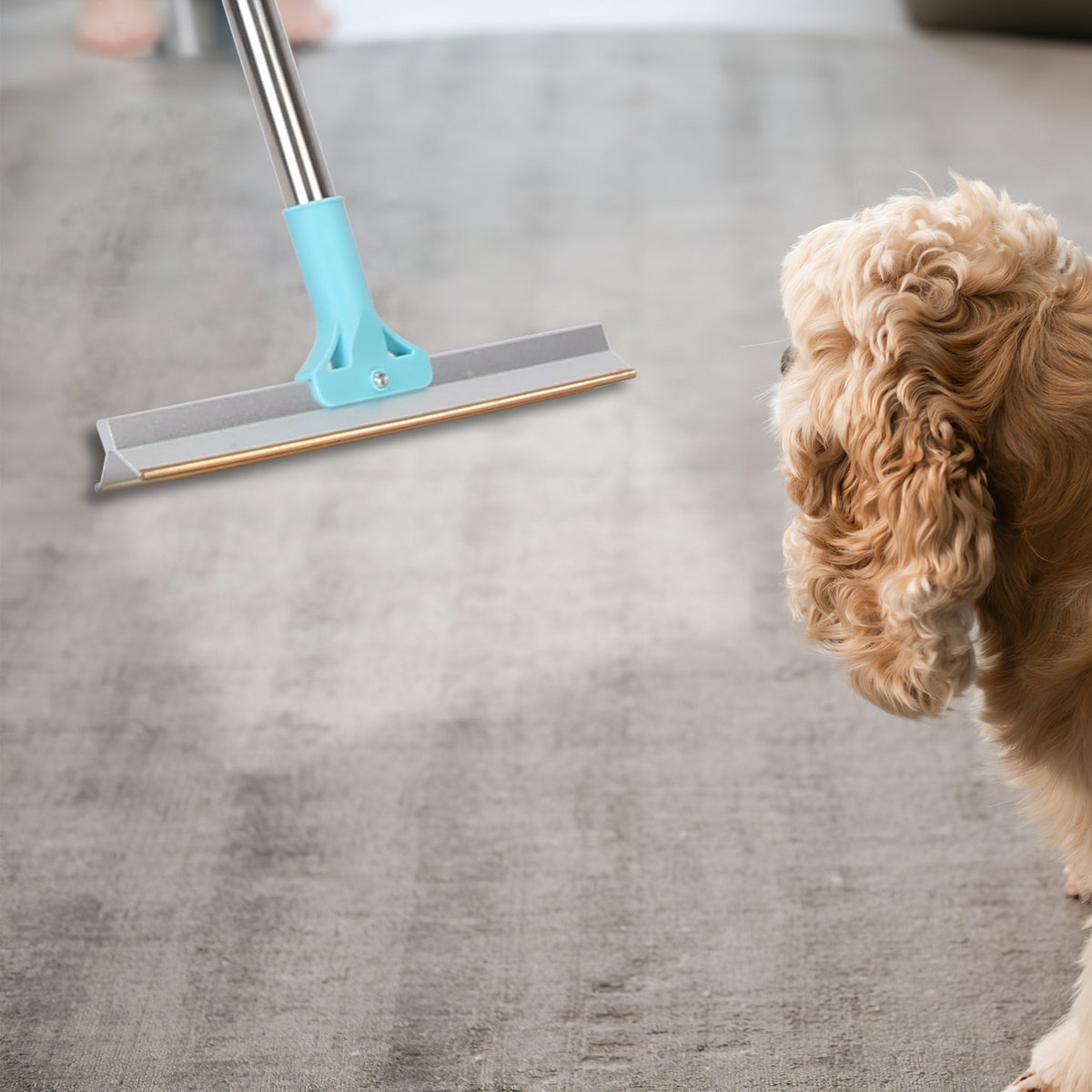 Pet Hair Removal Rake with 54" Adjustable Telescopic Handle