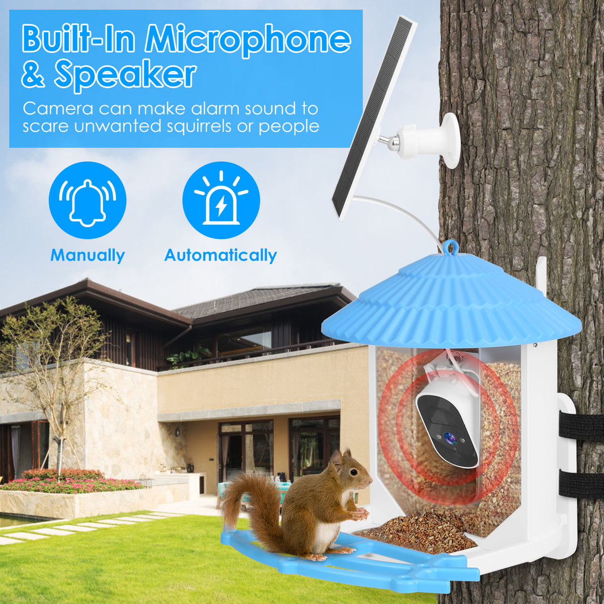 Solar Powered Smart Bird Feeder with 2K Camera & AI Identification