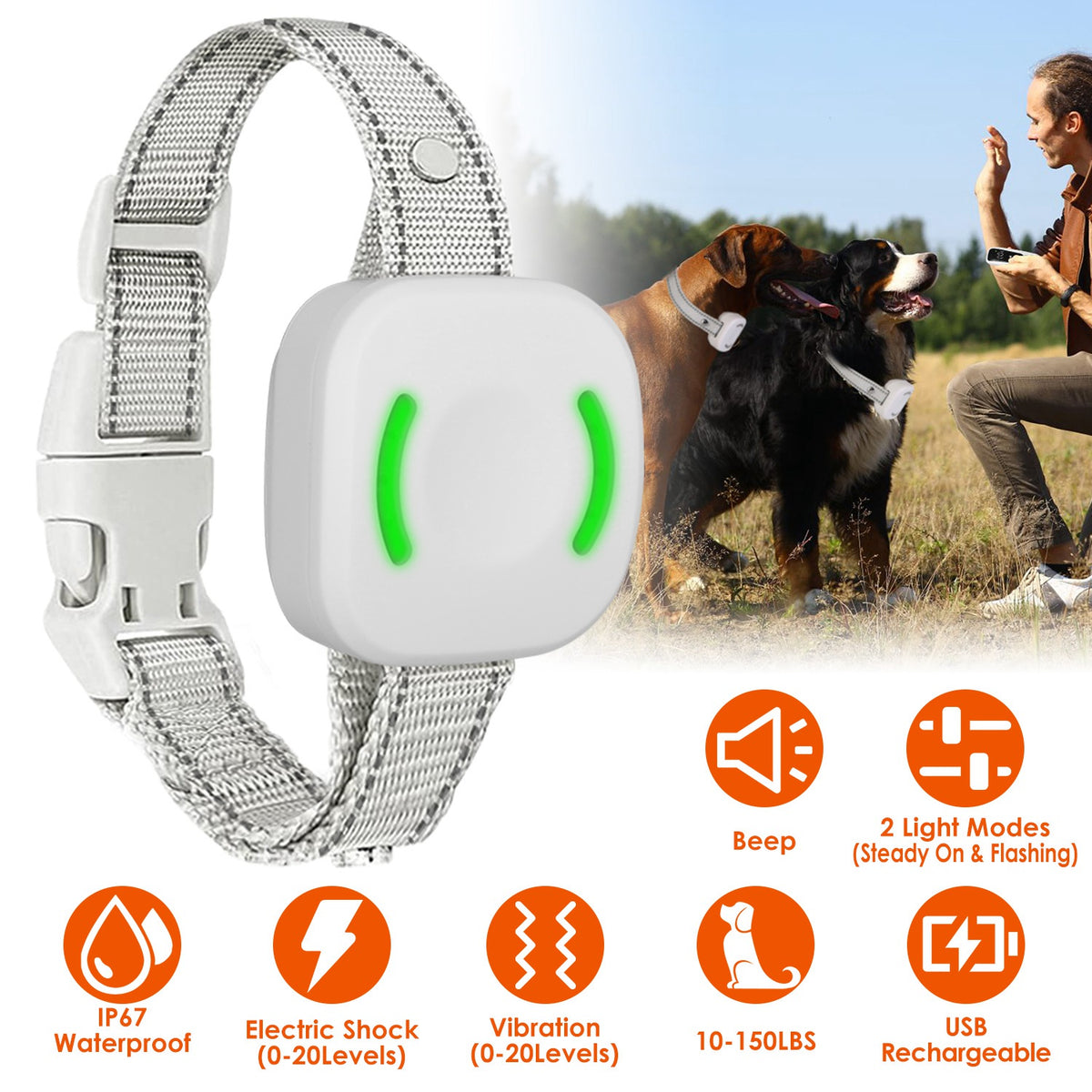 IP67 Waterproof Electric Dog Training Collar Rechargeable Dog Receiver with Light Beep Vibration Shock Fit for All Dogs 