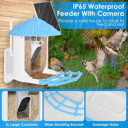 Solar Powered Smart Bird Feeder with 2K Camera & AI Identification