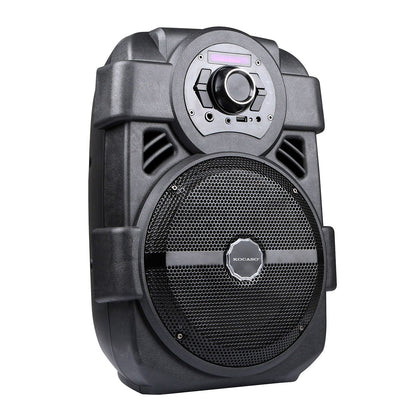 Portable PA Karaoke Speaker with 8" Subwoofer & DJ Lights