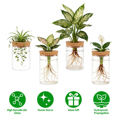 Glass Propagation Stations 4-Pack with Wood Cork Lids
